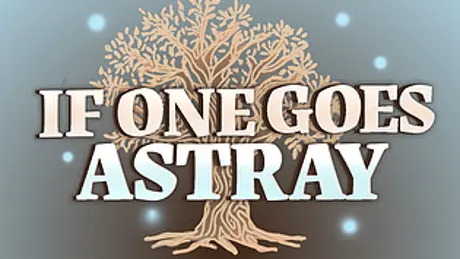 If One Goes Astray
