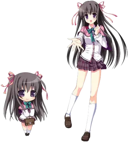 藤井 澄佳
