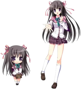 藤井 澄佳
