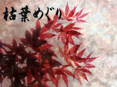 枯葉めぐり