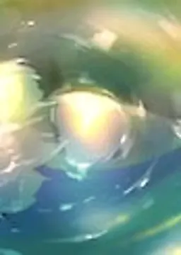 ナナイ