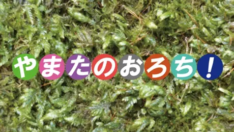 やまたのおろち！