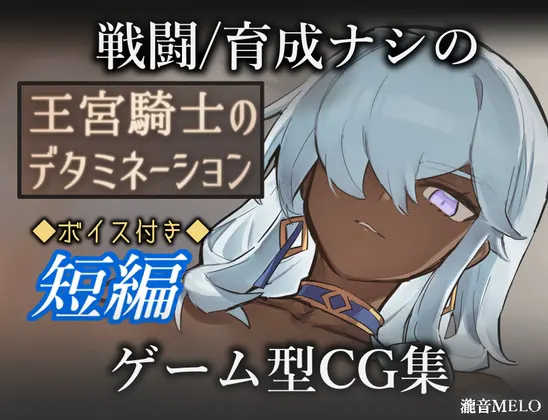 王宫骑士的决意