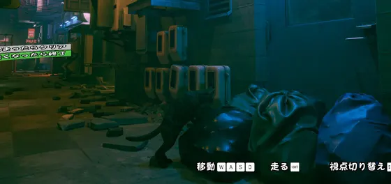 ねこの帰り道