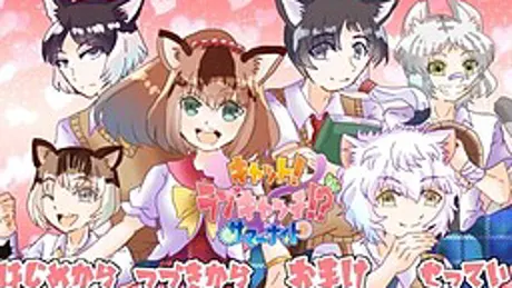 キャット！ラブキャッチ！？