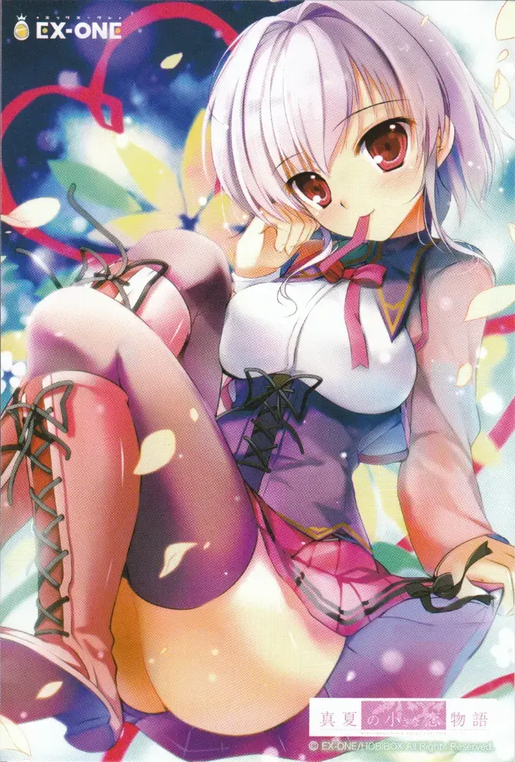 真夏の小さな恋物語