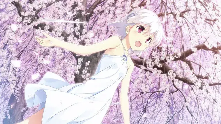 ひまわり -Pebble in the Sky-