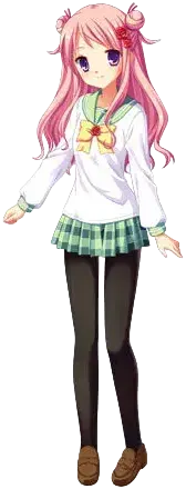 蓬莱 珠枝