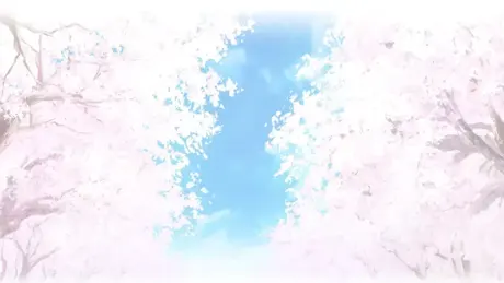 妻たちの桜貝