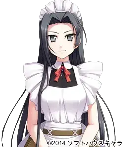 女仆怪盗