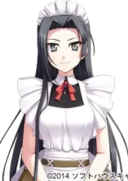 怪盗メイド