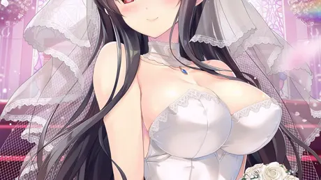 Series Banner 2