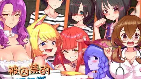 Series Banner 1