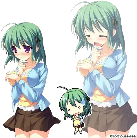 喜美嶋 南
