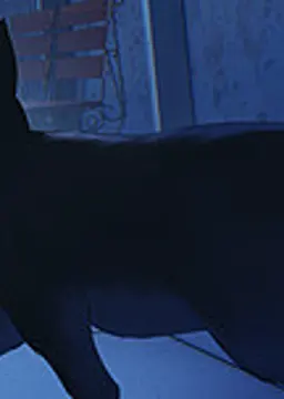 黒猫