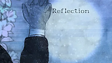 Reflection