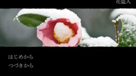 花盗人