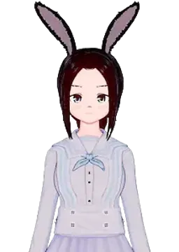 迪克莎