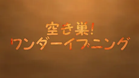 空き巣！ ワンダーイブニング