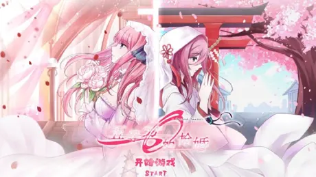 Series Banner 2