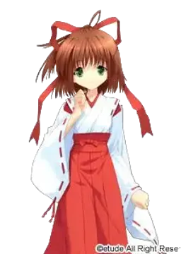 美坂夏希