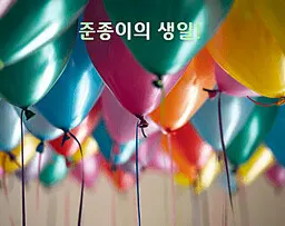 준종이의 생일