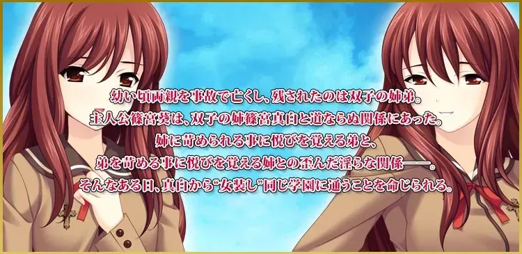 ボクがワタシになった理由～女装計画～