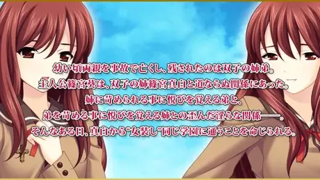 ボクがワタシになった理由～女装計画～
