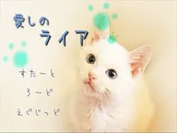 愛しのライア