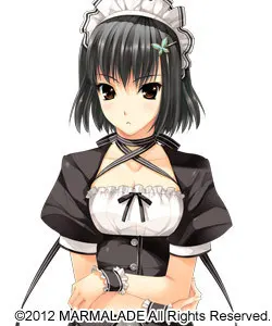 鹿岛鸫