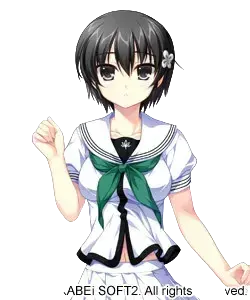 春风樱