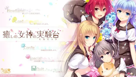 癒しの女神の実験台