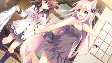 兽娘育成方案/兽娘的养成方法