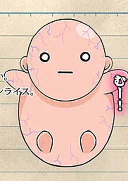 石榴 実