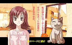 野良猫と私