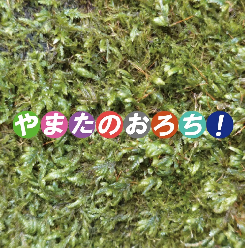 やまたのおろち！