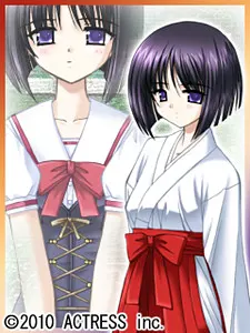橘 椿