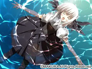 68381338