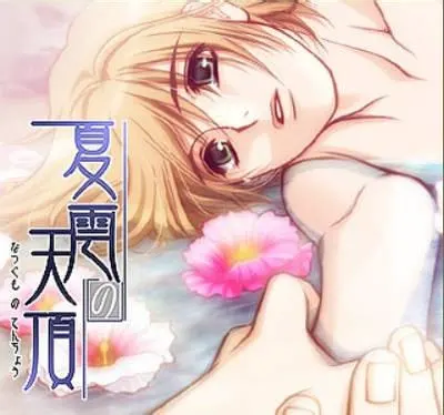 夏雲の天頂