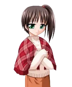 塞莱斯蒂
