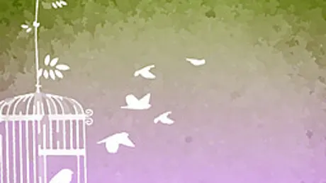 Elegy for a Songbird
