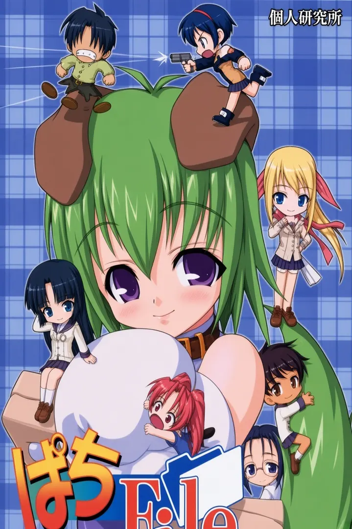 ぱちFile