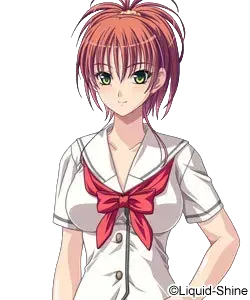 夏野 美咲