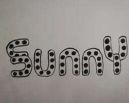 Sunny