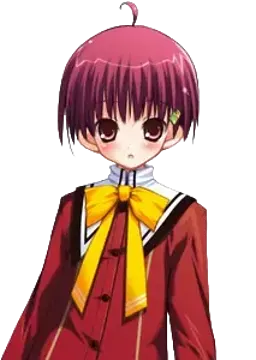 泡坂 晴