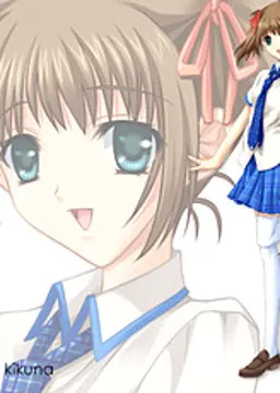 神明 菊菜