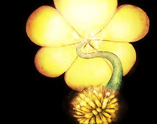 MURDERPLANT