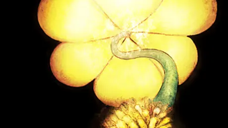 MURDERPLANT