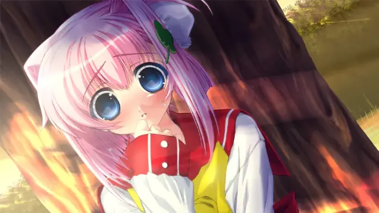 はちゅかの
