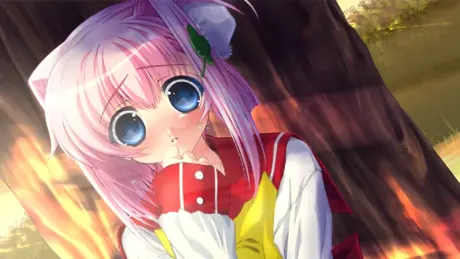 はちゅかの